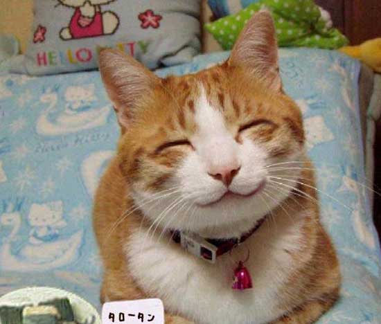 http://traiquangninh.wap.sh
